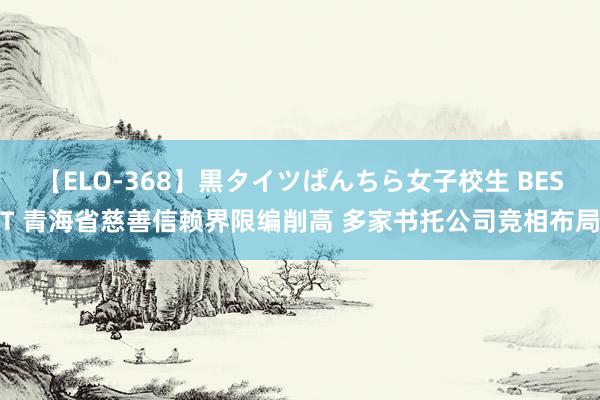 【ELO-368】黒タイツぱんちら女子校生 BEST 青海省慈善信赖界限编削高 多家书托公司竞相布局