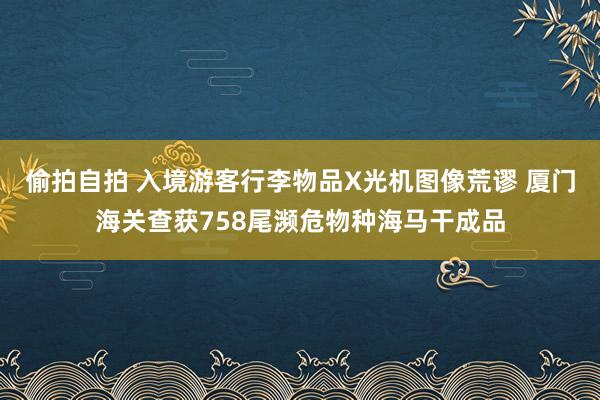 偷拍自拍 入境游客行李物品X光机图像荒谬 厦门海关查获758尾濒危物种海马干成品