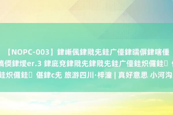 【NOPC-003】銉嶃偑銉戙兂銈广儓銉曘偋銉嗐偅銉冦偡銉ャ儫銉ャ兗銈搞偄銉燰er.3 銉庛兗銉戙兂