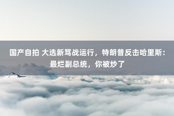 国产自拍 大选新骂战运行，特朗普反击哈里斯：最烂副总统，你被炒了