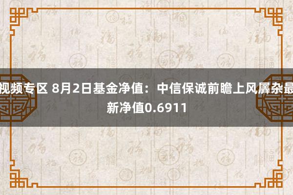 视频专区 8月2日基金净值：中信保诚前瞻上风羼杂最新净值0.6911