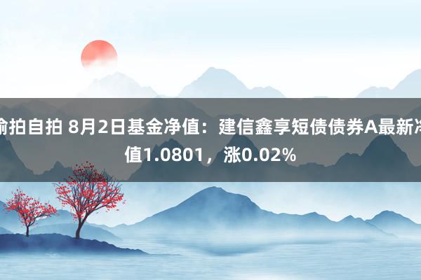 偷拍自拍 8月2日基金净值：建信鑫享短债债券A最新净值1.0801，涨0.02%