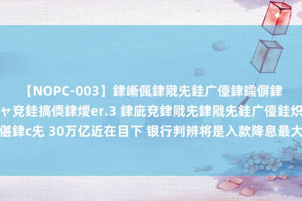 【NOPC-003】銉嶃偑銉戙兂銈广儓銉曘偋銉嗐偅銉冦偡銉ャ儫銉ャ兗銈搞偄銉燰er.3 銉庛兗銉戙兂