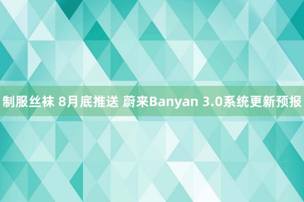 制服丝袜 8月底推送 蔚来Banyan 3.0系统更新预报