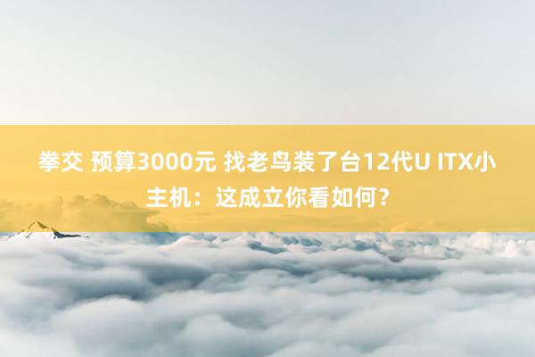 拳交 预算3000元 找老鸟装了台12代U ITX小主机：这成立你看如何？